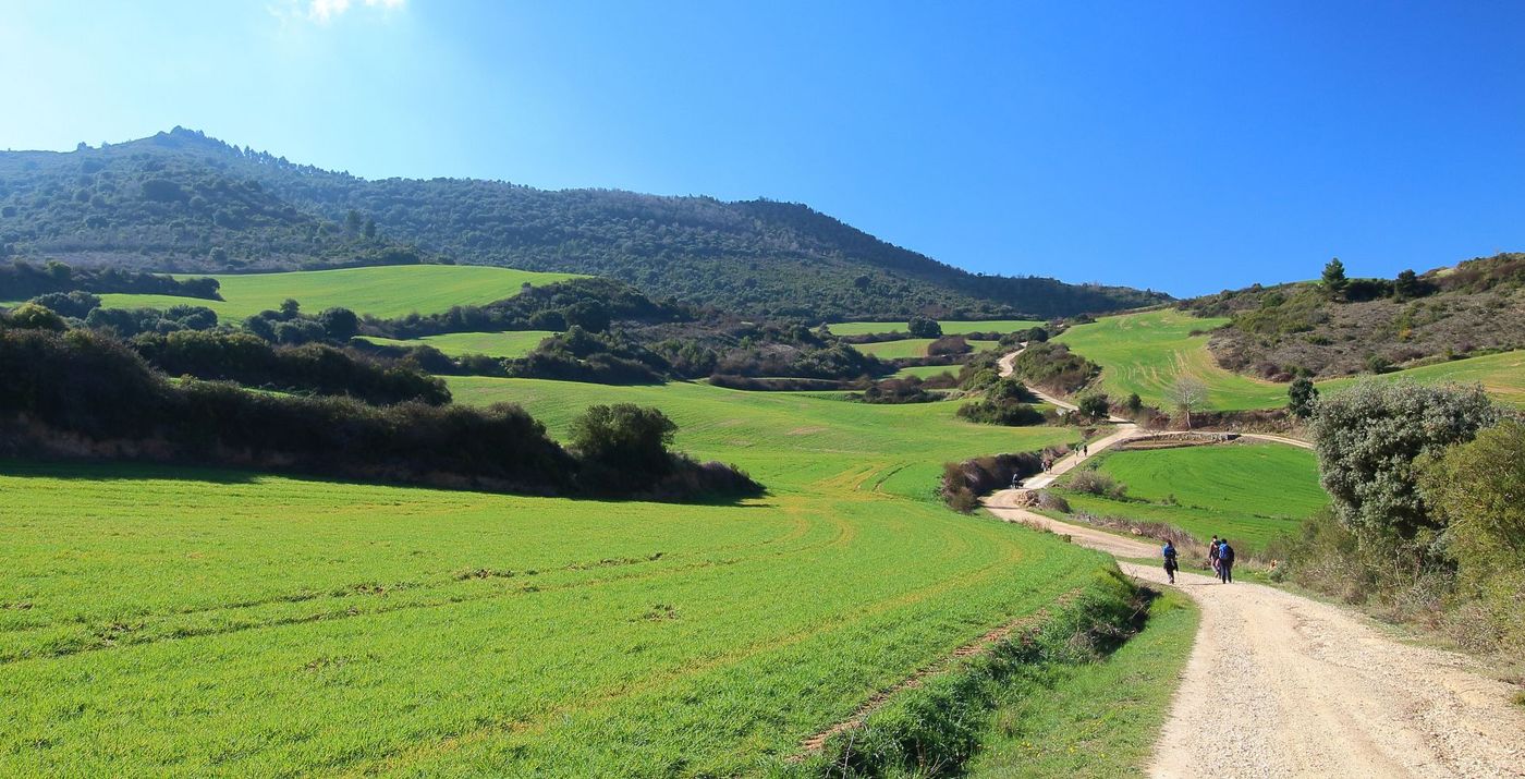 Pilgrims walking through the green fields of Camino de Santiago, Navarra, Spain..jpg